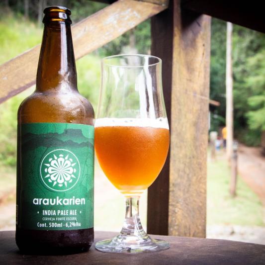 Araukarien Ipa